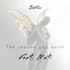 DalSci - The reason you exist (feat. Mati) - Single